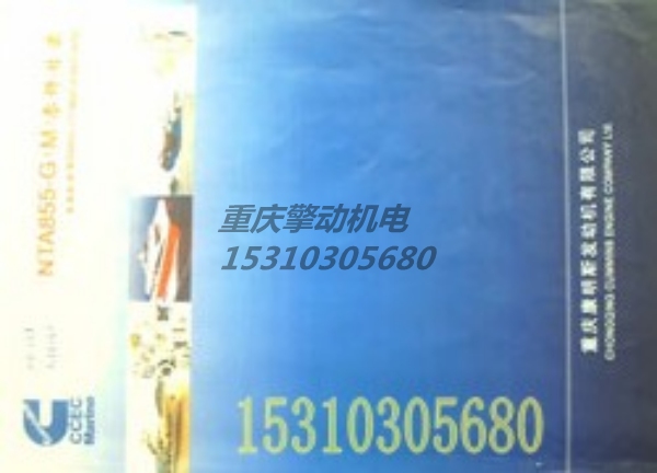 康明斯NTA855-D(M）零件圖冊 3166152-1