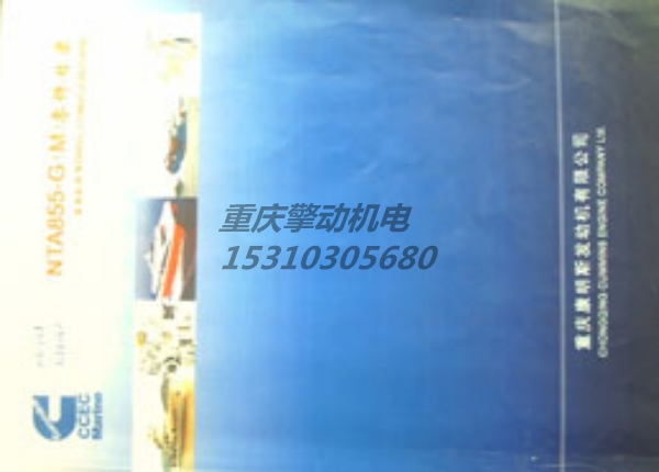 康明斯NTA855-D(M）零件圖冊 3166152
